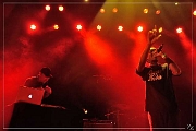 84848 Rootwords 28-04-2015 (Zz) (p)